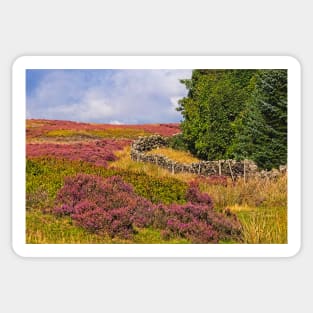 Yorkshire Moorland Heather Landscape Sticker